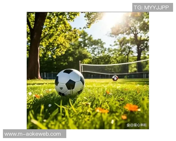 足球王国的魅力与传奇探秘领略世界足球文化的精髓与发展历程